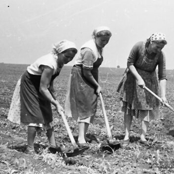 IL RUOLO DELLE DONNE NELLA SECONDA GUERRA MONDIALE